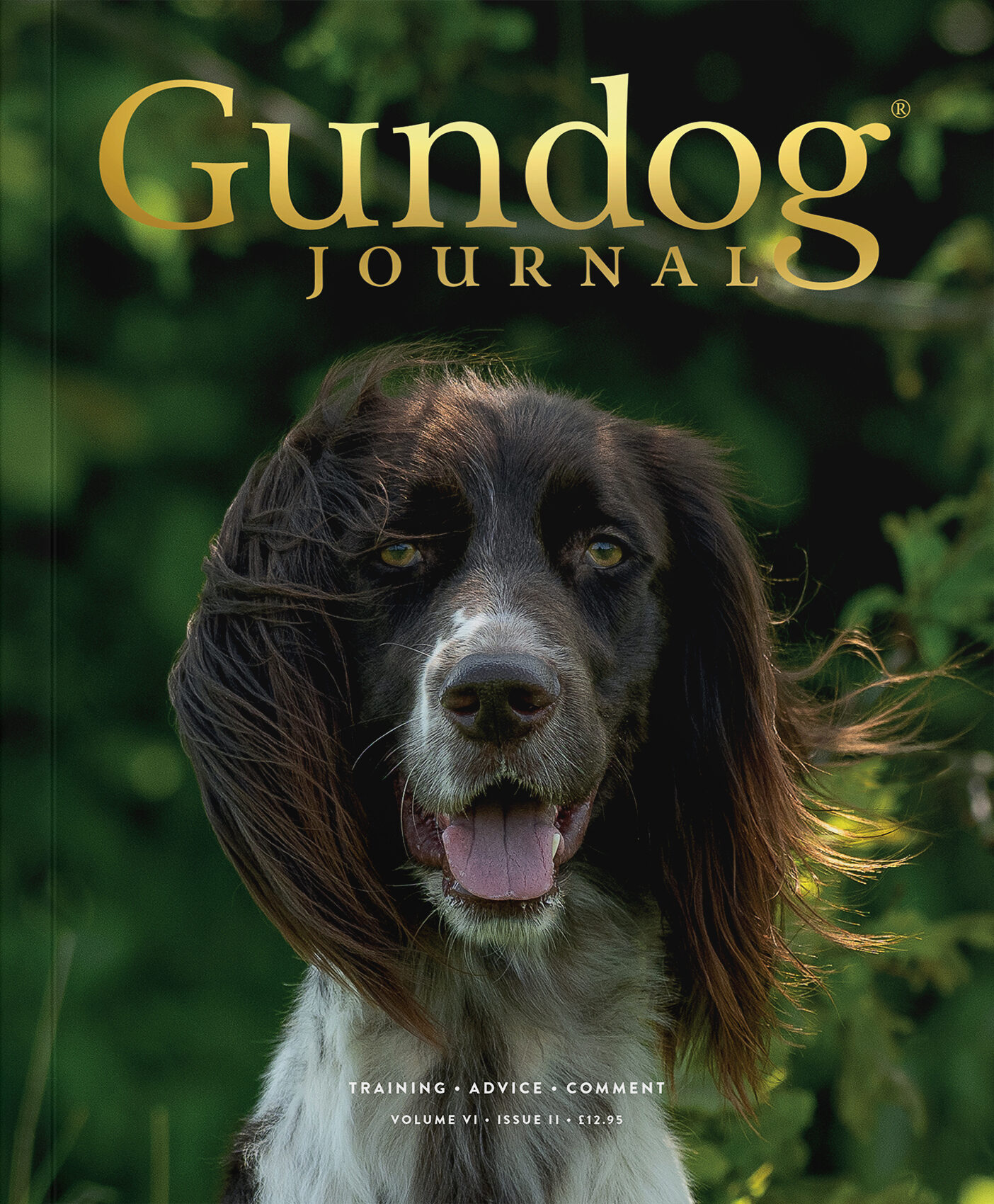 Gundog Journal Volume 6 Issue 2