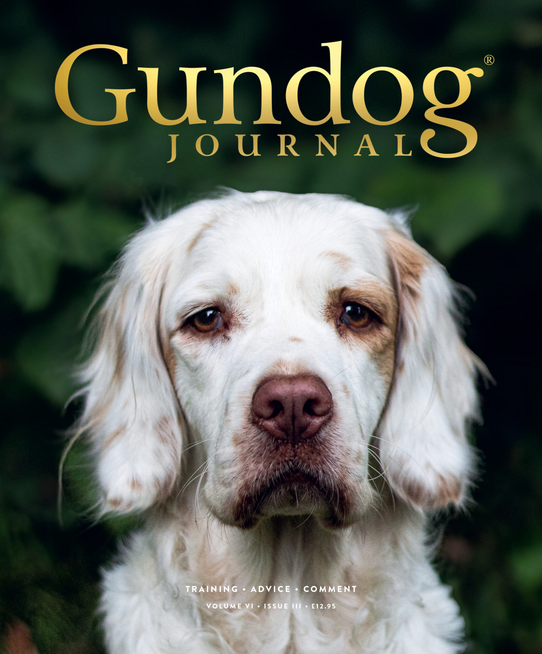 Gundog Journal Volume 6 Issue 3